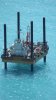 Общественная инспекция строительства газопрововода "Южный поток"